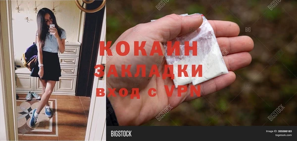 стафф Аркадак