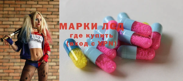 гашик Арсеньев