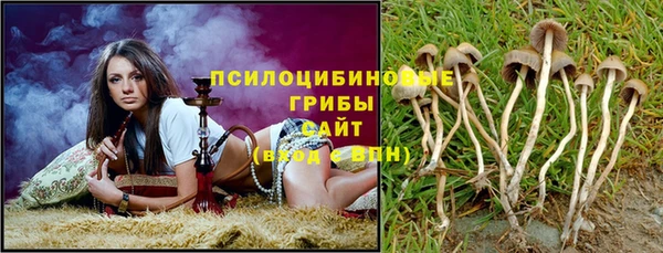 гашик Арсеньев
