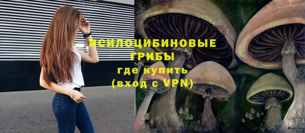 ALPHA-PVP Богданович