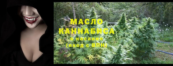 гашик Арсеньев