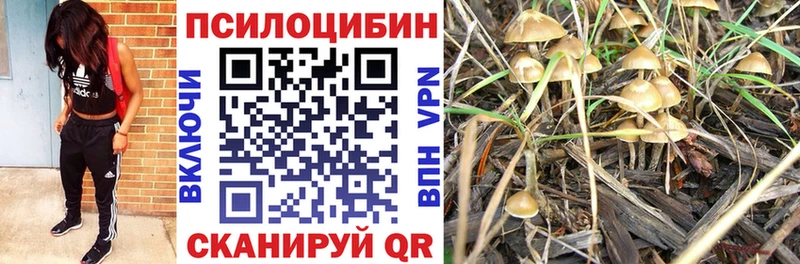 Псилоцибиновые грибы мухоморы  Петропавловск-Камчатский 