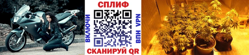 darknet официальный сайт  Петропавловск-Камчатский  Бошки Шишки ГИДРОПОН 